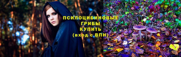 ALPHA-PVP Аркадак