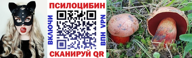 Псилоцибиновые грибы Psilocybe Любань