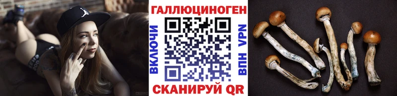 Галлюциногенные грибы Cubensis ссылка на мегу Любань